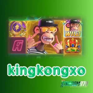 kingkongxo